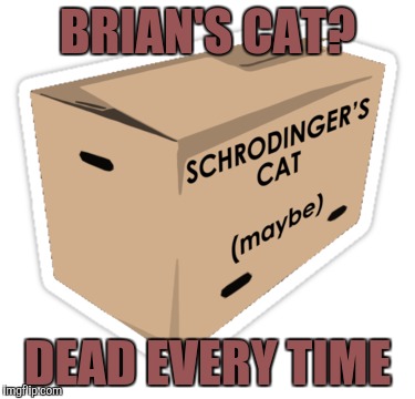 BRIAN'S CAT? DEAD EVERY TIME | made w/ Imgflip meme maker