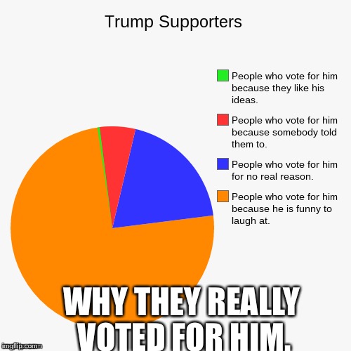 WHY THEY REALLY VOTED FOR HIM. | image tagged in memes,funny,pie charts,donald trump | made w/ Imgflip meme maker