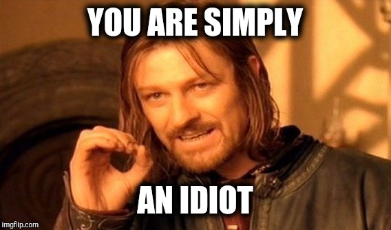 One Does Not Simply Meme | YOU ARE SIMPLY; AN IDIOT | image tagged in memes,one does not simply | made w/ Imgflip meme maker