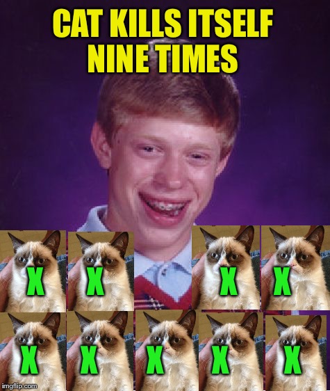 Bad Luck Brian Meme | CAT KILLS ITSELF NINE TIMES X       X        X        X         X X       X                   X      X | image tagged in memes,bad luck brian | made w/ Imgflip meme maker