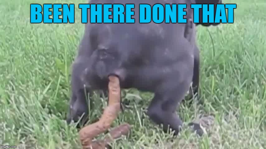 BEEN THERE DONE THAT | made w/ Imgflip meme maker