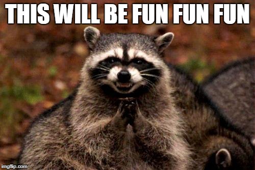 Evil Plotting Raccoon | THIS WILL BE FUN FUN FUN | image tagged in memes,evil plotting raccoon | made w/ Imgflip meme maker