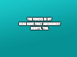teal color.jpg | THE VOICES
IN MY HEAD
HAVE FIRST AMENDMENT RIGHTS, TOO. | image tagged in teal colorjpg | made w/ Imgflip meme maker