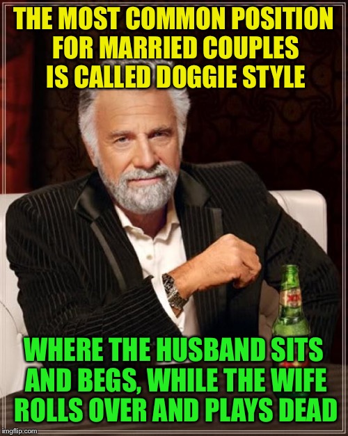 Not the petting kind | THE MOST COMMON POSITION FOR MARRIED COUPLES IS CALLED DOGGIE STYLE; WHERE THE HUSBAND SITS AND BEGS, WHILE THE WIFE ROLLS OVER AND PLAYS DEAD | image tagged in memes,the most interesting man in the world,funny | made w/ Imgflip meme maker