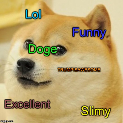 Doge Meme | Lol Funny TRUMPISAWESOME Excellent Slimy Doge | image tagged in memes,doge | made w/ Imgflip meme maker