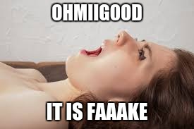 OHMIIGOOD IT IS FAAAKE | made w/ Imgflip meme maker