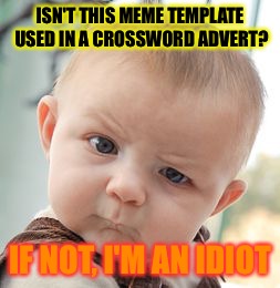 ISN'T THIS MEME TEMPLATE USED IN A CROSSWORD ADVERT? IF NOT, I'M AN IDIOT | image tagged in memes,skeptical baby | made w/ Imgflip meme maker