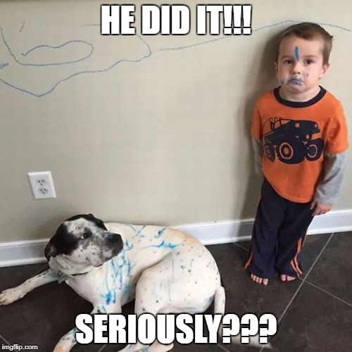 He did it!!! | HE DID IT!!! SERIOUSLY??? | image tagged in he did it,blame the dog,naughty kid | made w/ Imgflip meme maker