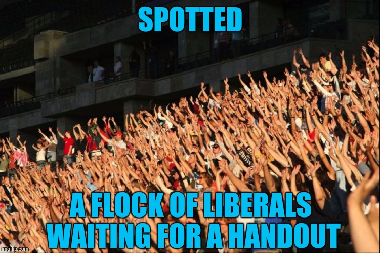 REEEAACH For the Money | SPOTTED; A FLOCK OF LIBERALS WAITING FOR A HANDOUT | image tagged in raise your hands crowd,liberals,politics,political meme | made w/ Imgflip meme maker