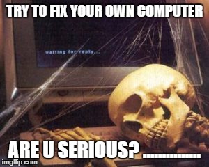 skeleton computer | TRY TO FIX YOUR OWN COMPUTER; ARE U SERIOUS? ............... | image tagged in skeleton computer | made w/ Imgflip meme maker