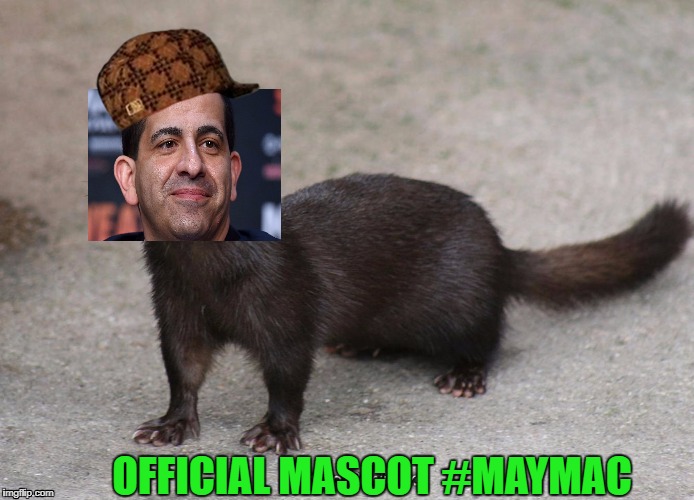 McGregor Mayweather Mascot - Stephen Espinoza Weasel  | OFFICIAL MASCOT #MAYMAC | image tagged in weasel,maymac,espinoza,mcgregor,mayweather,stephen espinoza | made w/ Imgflip meme maker