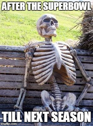 Waiting Skeleton | AFTER THE SUPERBOWL; TILL NEXT SEASON | image tagged in memes,waiting skeleton | made w/ Imgflip meme maker