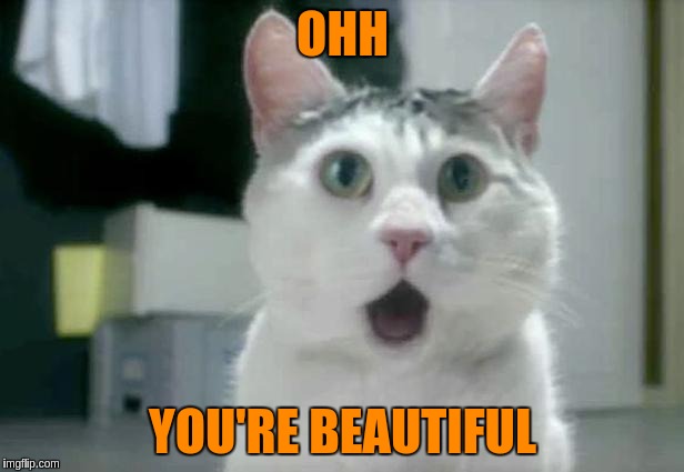 OHH YOU'RE BEAUTIFUL | made w/ Imgflip meme maker