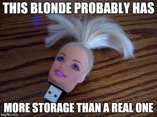 Blonde | THIS BLONDE PROBABLY HAS; MORE STORAGE THAN A REAL ONE | image tagged in smart blond,memes | made w/ Imgflip meme maker