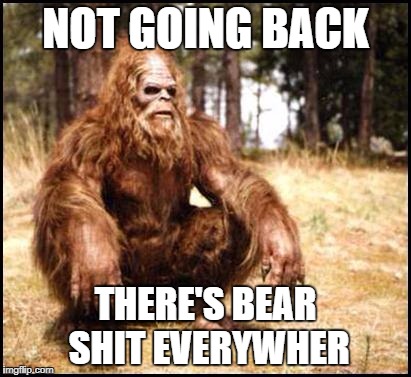 SASS-PATCH | NOT GOING BACK; THERE'S BEAR SHIT EVERYWHER | image tagged in sass-patch | made w/ Imgflip meme maker