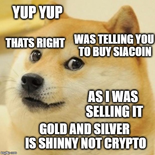 Doge Meme | YUP YUP; WAS TELLING YOU TO BUY SIACOIN; THATS RIGHT; AS I WAS SELLING IT; GOLD AND SILVER IS SHINNY NOT CRYPTO | image tagged in memes,doge | made w/ Imgflip meme maker