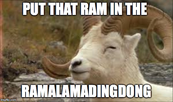 PUT THAT RAM IN THE RAMALAMADINGDONG | made w/ Imgflip meme maker