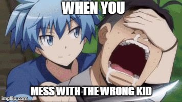 WHEN YOU; MESS WITH THE WRONG KID | image tagged in when you mess with the wrong kid | made w/ Imgflip meme maker
