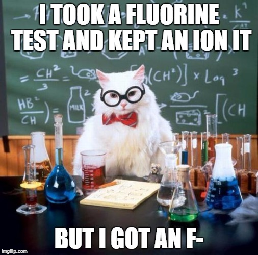 Chemistry Cat | I TOOK A FLUORINE TEST AND KEPT AN ION IT; BUT I GOT AN F- | image tagged in memes,chemistry cat | made w/ Imgflip meme maker