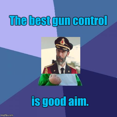 AYE AYE CAPTAIN (ty Raydog for suggesting making a cap obv meme out of my comment) | The best gun control; is good aim. | image tagged in funny,captain obvious,guns,humor,memes,politics | made w/ Imgflip meme maker