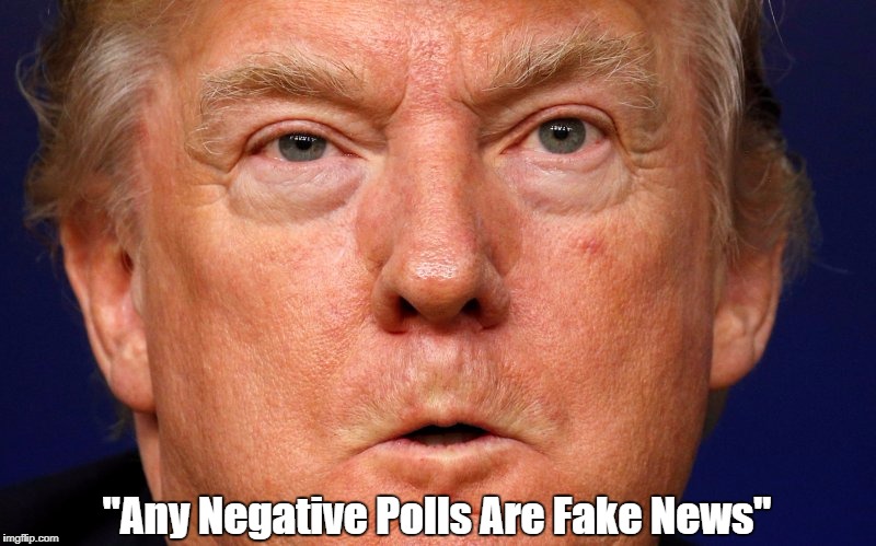 "Any Negative Polls Are Fake News" | made w/ Imgflip meme maker