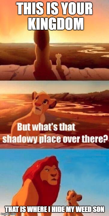 lion king light touches shadowy place kek | THIS IS YOUR KINGDOM; THAT IS WHERE I HIDE MY WEED SON | image tagged in lion king light touches shadowy place kek | made w/ Imgflip meme maker
