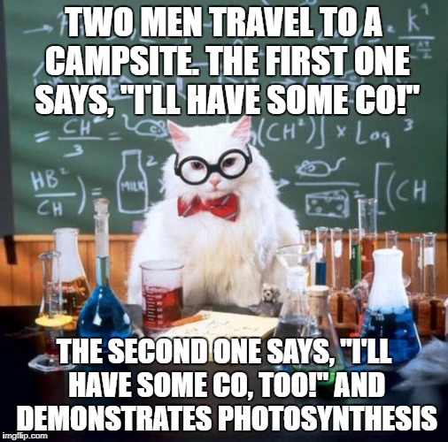 Chemistry Cat Meme | TWO MEN TRAVEL TO A CAMPSITE. THE FIRST ONE SAYS, "I'LL HAVE SOME CO!"; THE SECOND ONE SAYS, "I'LL HAVE SOME CO, TOO!" AND DEMONSTRATES PHOTOSYNTHESIS | image tagged in memes,chemistry cat | made w/ Imgflip meme maker