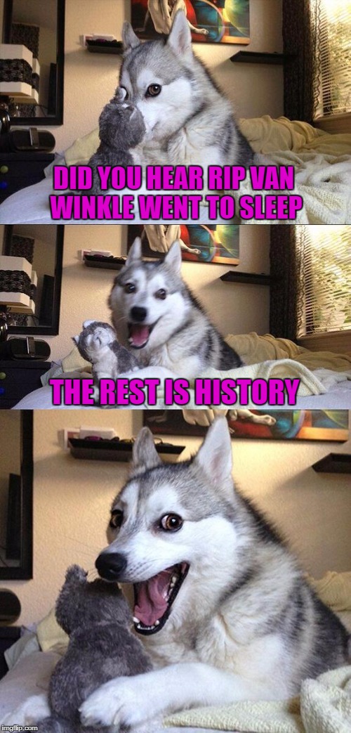 When you get that EPIC sleep!!! | DID YOU HEAR RIP VAN WINKLE WENT TO SLEEP; THE REST IS HISTORY | image tagged in memes,bad pun dog,rip van winkle,funny,epic sleep,dogs | made w/ Imgflip meme maker