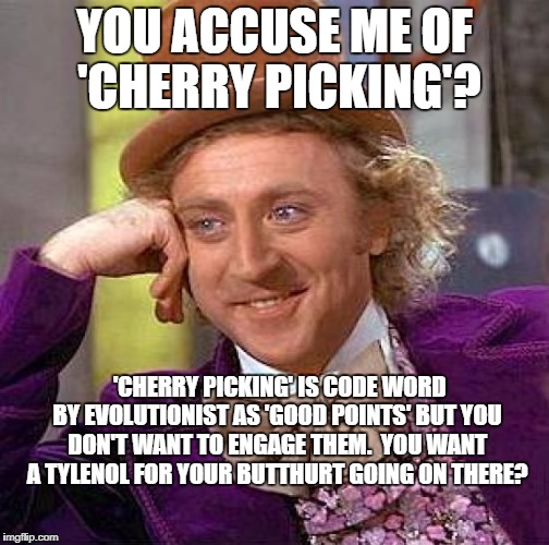 Creepy Condescending Wonka Meme | YOU ACCUSE ME OF 'CHERRY PICKING'? 'CHERRY PICKING' IS CODE WORD BY EVOLUTIONIST AS 'GOOD POINTS' BUT YOU DON'T WANT TO ENGAGE THEM.  YOU WANT A TYLENOL FOR YOUR BUTTHURT GOING ON THERE? | image tagged in memes,creepy condescending wonka | made w/ Imgflip meme maker