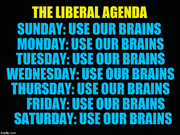 Black Background | SUNDAY: USE OUR BRAINS MONDAY: USE OUR BRAINS TUESDAY: USE OUR BRAINS WEDNESDAY: USE OUR BRAINS THURSDAY: USE OUR BRAINS     FRIDAY: USE OUR BRAINS   SATURDAY: USE OUR BRAINS; THE LIBERAL AGENDA | image tagged in black background | made w/ Imgflip meme maker