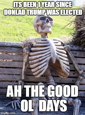 Waiting Skeleton | ITS BEEN 1 YEAR SINCE DONLAD TRUMP WAS ELECTED; AH THE GOOD OL  DAYS | image tagged in memes,waiting skeleton | made w/ Imgflip meme maker