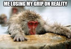 ME LOSING MY GRIP ON REALITY | image tagged in depression,monkey | made w/ Imgflip meme maker