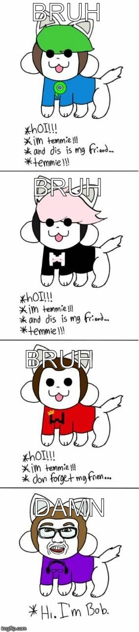 BRUH; BRUH; BRUH; DAMN | image tagged in youtuber temmie | made w/ Imgflip meme maker