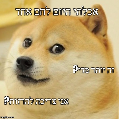 Doge Meme | אכלתי היום לחם אחד; ?זה יותר מדי; ?אני צריכה להרזות | image tagged in memes,doge | made w/ Imgflip meme maker