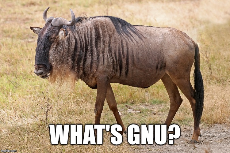 WHAT'S GNU? | made w/ Imgflip meme maker