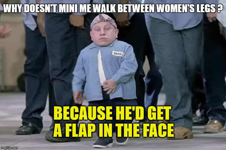 Mini ME | WHY DOESN'T MINI ME WALK BETWEEN WOMEN'S LEGS ? BECAUSE HE'D GET A FLAP IN THE FACE | image tagged in mini me,memes,joke,funny,women | made w/ Imgflip meme maker