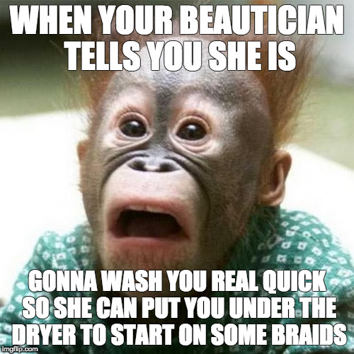 Shocked Monkey | WHEN YOUR BEAUTICIAN TELLS YOU SHE IS; GONNA WASH YOU REAL QUICK SO SHE CAN PUT YOU UNDER THE DRYER TO START ON SOME BRAIDS | image tagged in shocked monkey | made w/ Imgflip meme maker