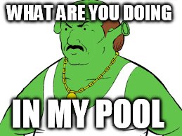 WHAT ARE YOU DOING; IN MY POOL | image tagged in memes,lol so funny | made w/ Imgflip meme maker