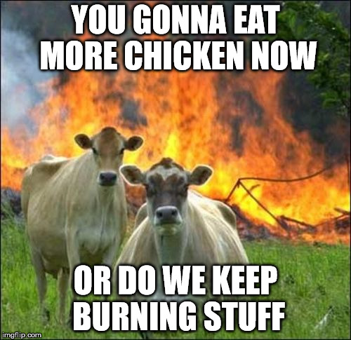Evil Cows Meme | YOU GONNA EAT MORE CHICKEN NOW; OR DO WE KEEP BURNING STUFF | image tagged in memes,evil cows | made w/ Imgflip meme maker