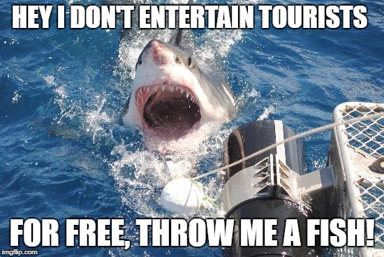 HEY I DON'T ENTERTAIN TOURISTS; FOR FREE, THROW ME A FISH! | image tagged in gw | made w/ Imgflip meme maker
