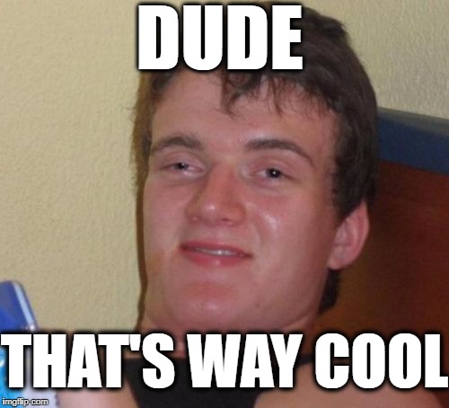 10 Guy Meme | DUDE THAT'S WAY COOL | image tagged in memes,10 guy | made w/ Imgflip meme maker