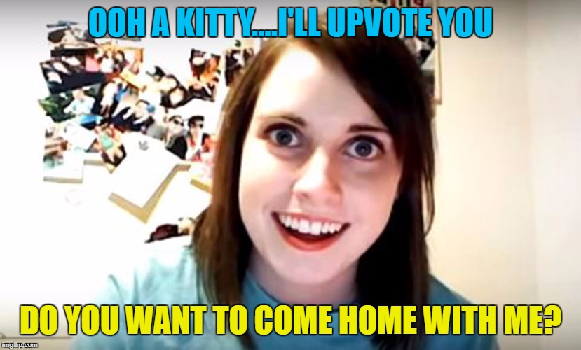 OOH A KITTY....I'LL UPVOTE YOU DO YOU WANT TO COME HOME WITH ME? | made w/ Imgflip meme maker
