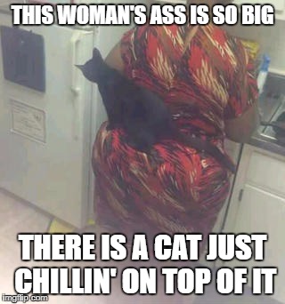 THIS WOMAN'S ASS IS SO BIG; THERE IS A CAT JUST CHILLIN' ON TOP OF IT | image tagged in ass | made w/ Imgflip meme maker
