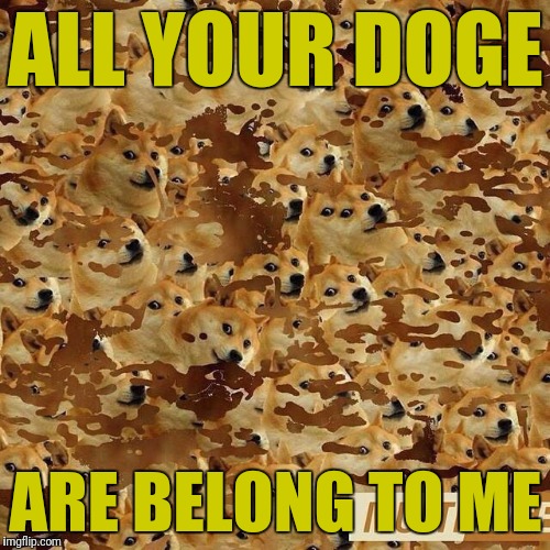 ALL YOUR DOGE ARE BELONG TO ME | made w/ Imgflip meme maker