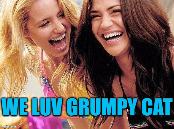 laughing | WE LUV GRUMPY CAT | image tagged in laughing | made w/ Imgflip meme maker