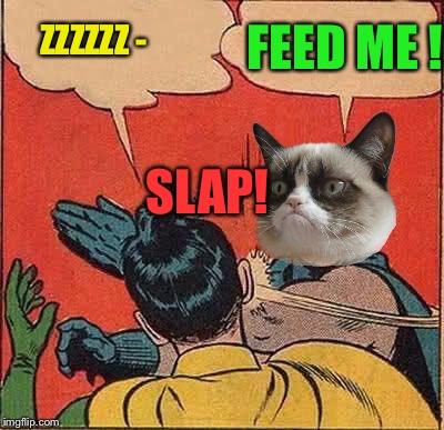 ZZZZZZ - FEED ME ! SLAP! | made w/ Imgflip meme maker