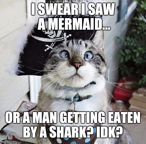 Spangles Meme | I SWEAR I SAW A MERMAID... OR A MAN GETTING EATEN BY A SHARK? IDK? | image tagged in memes,spangles | made w/ Imgflip meme maker