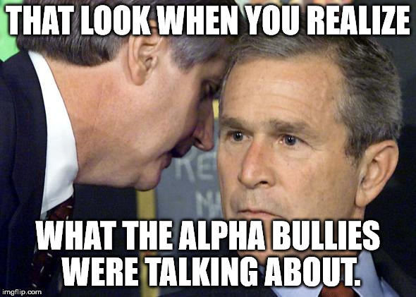That look when you realize | THAT LOOK WHEN YOU REALIZE; WHAT THE ALPHA BULLIES WERE TALKING ABOUT. | image tagged in bush,9/11 | made w/ Imgflip meme maker