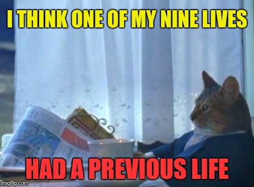 I Should Buy A Boat Cat Meme | I THINK ONE OF MY NINE LIVES; HAD A PREVIOUS LIFE | image tagged in memes,i should buy a boat cat | made w/ Imgflip meme maker
