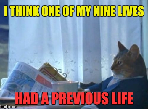 I Should Buy A Boat Cat | I THINK ONE OF MY NINE LIVES; HAD A PREVIOUS LIFE | image tagged in memes,i should buy a boat cat | made w/ Imgflip meme maker